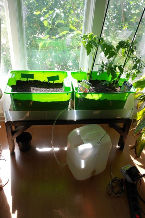 Indoor Herb Garden With Automatic Watering : 8 Steps (with Pictures) -  Instructables