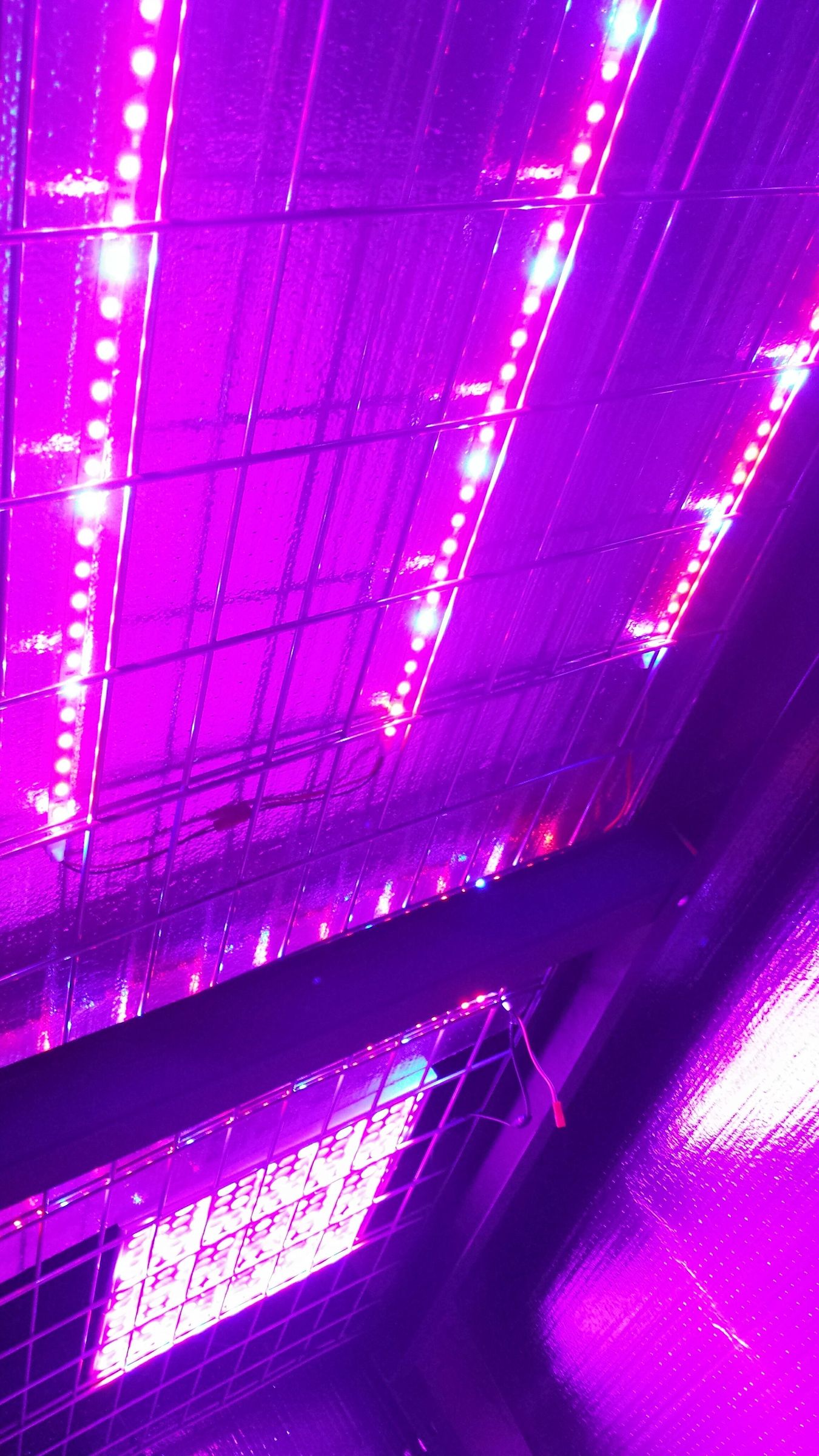 Super Quick & Easy LED Growlight