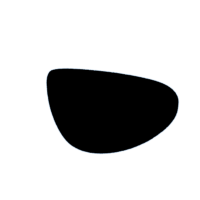 download {{ file.name }}