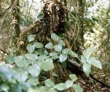 Make a simple ghillie suit
