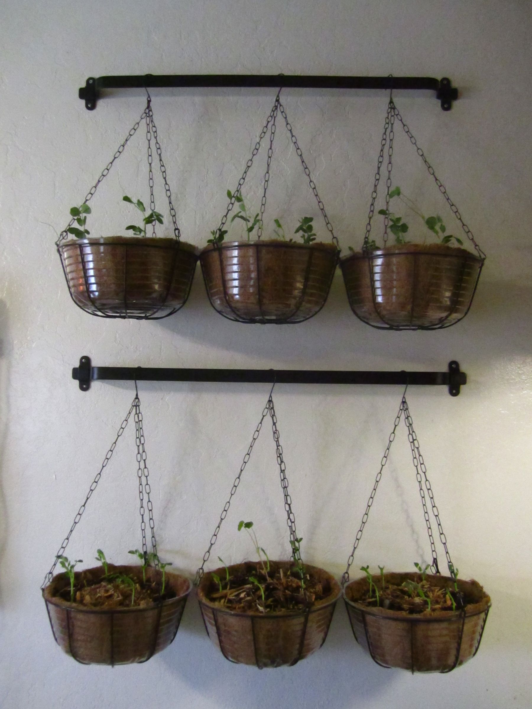 Hanging Vegetable Planters : 4 Steps (with Pictures) - Instructables