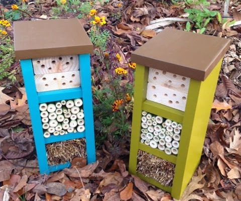 Mason Bee Hotel