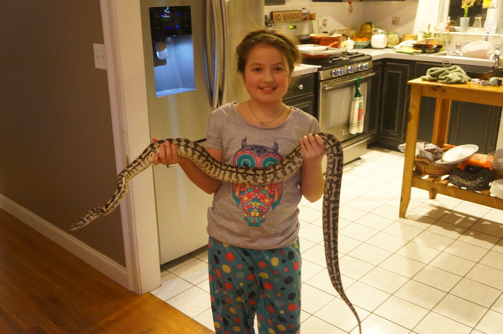 Bringing the Outside In, Creating a Vivarium for a Carpet Python 6