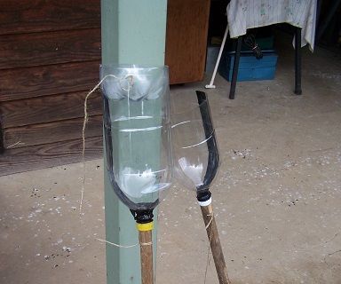 Safe Humane Spider/ Insect Catcher