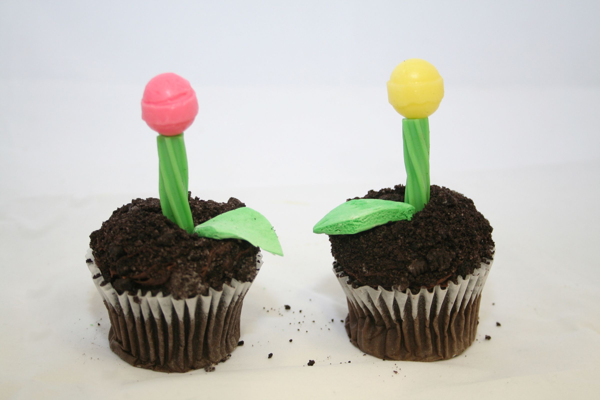 Blooming Spring Cupcakes