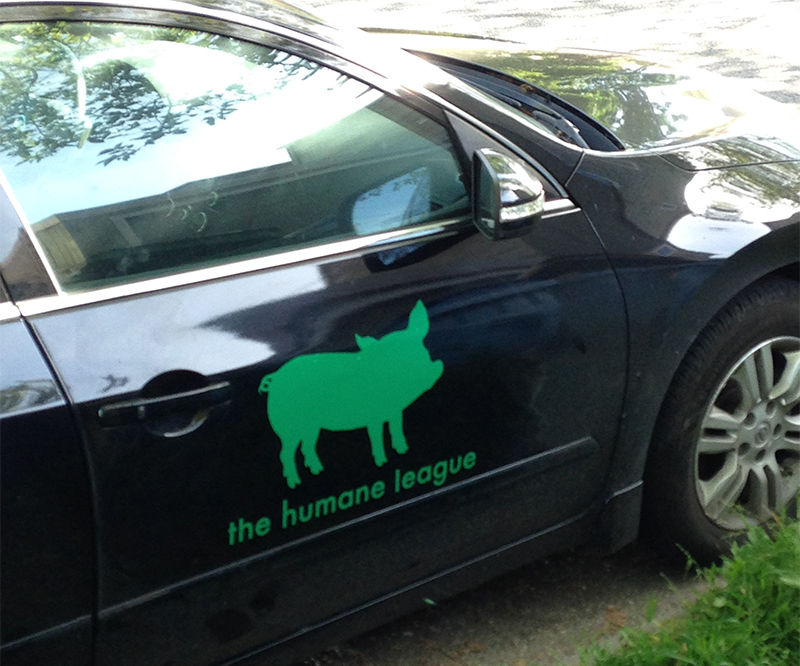 Car Decal Sticker - Made With a Vinyl Cutter