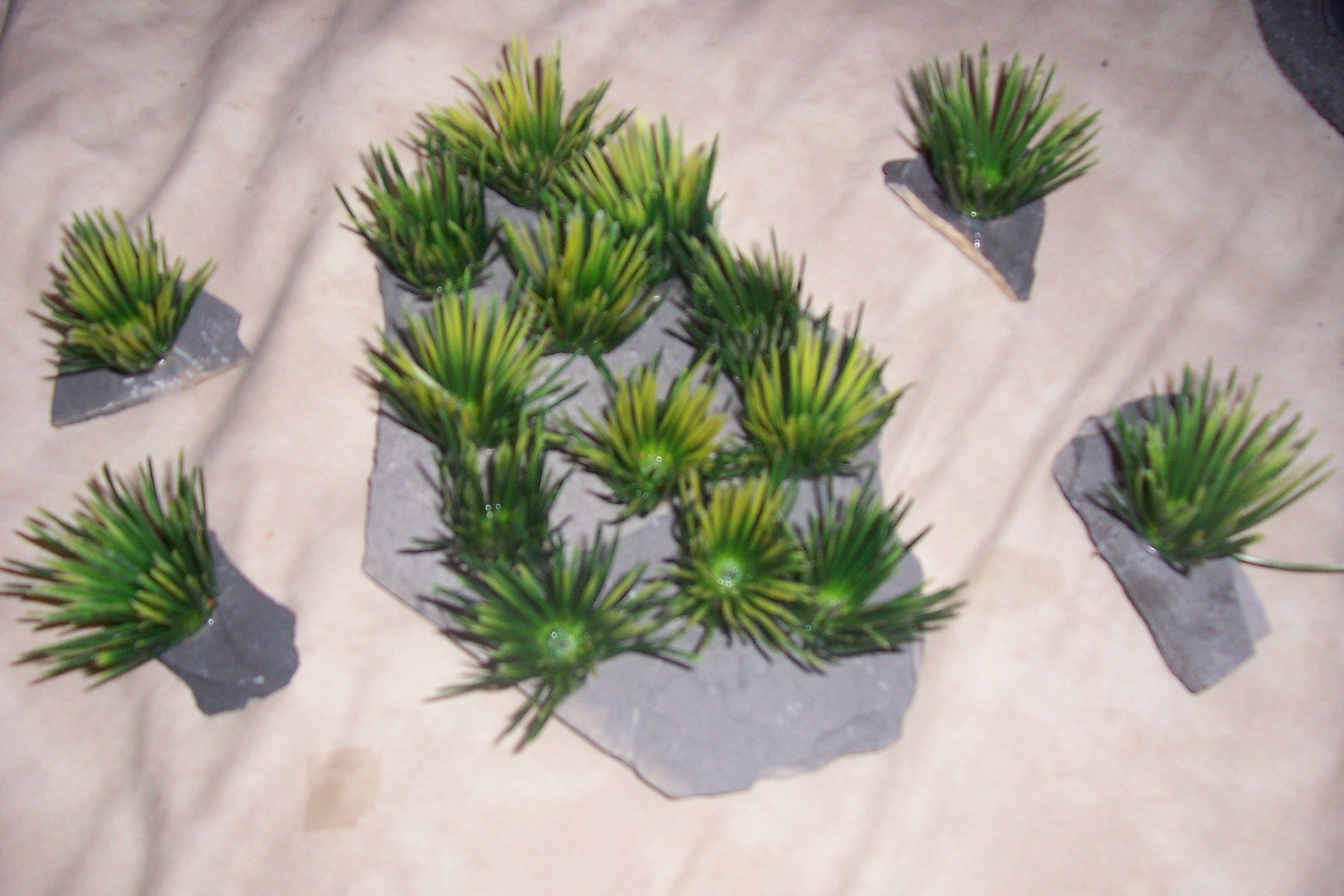 Realistic Breeding Grass