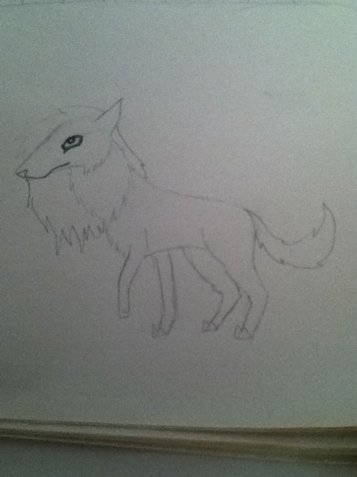 Draw a Dog