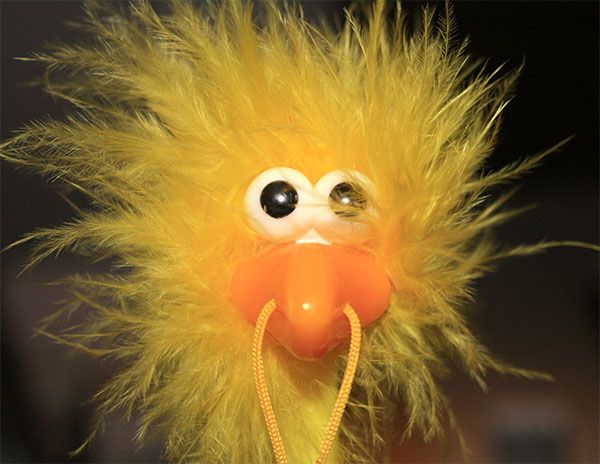 Instructables profile picture for @unusual