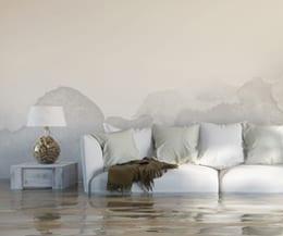 4 Reasons Why Water Damage Cleanup Fairfax VA Should Be Left to the Pros