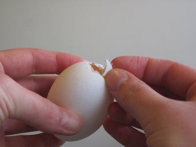 Prepping the Egg Shells