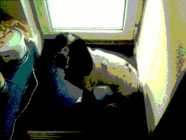 DIY Dog Toys From Around the House