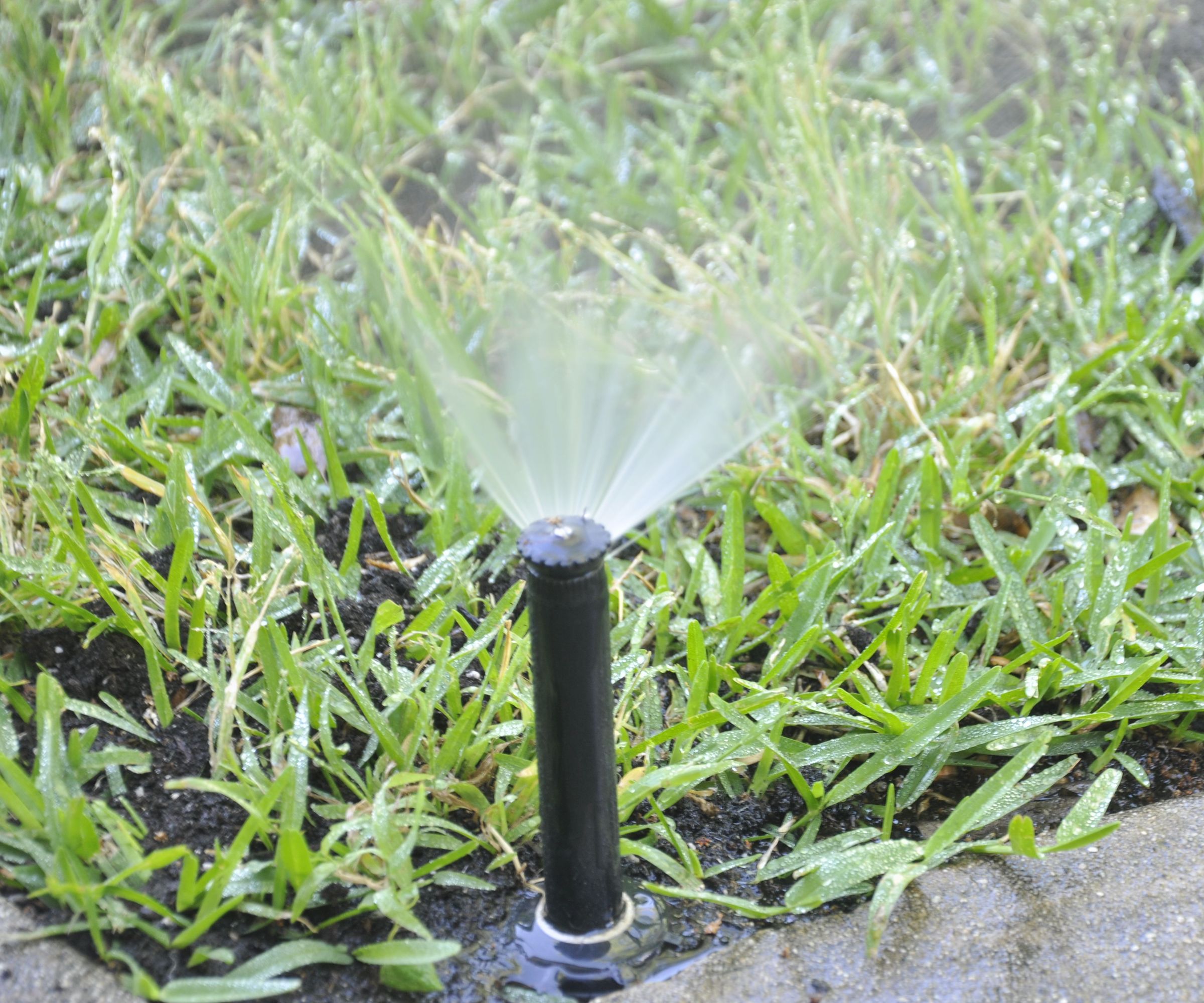Weather Based Irrigation Controller