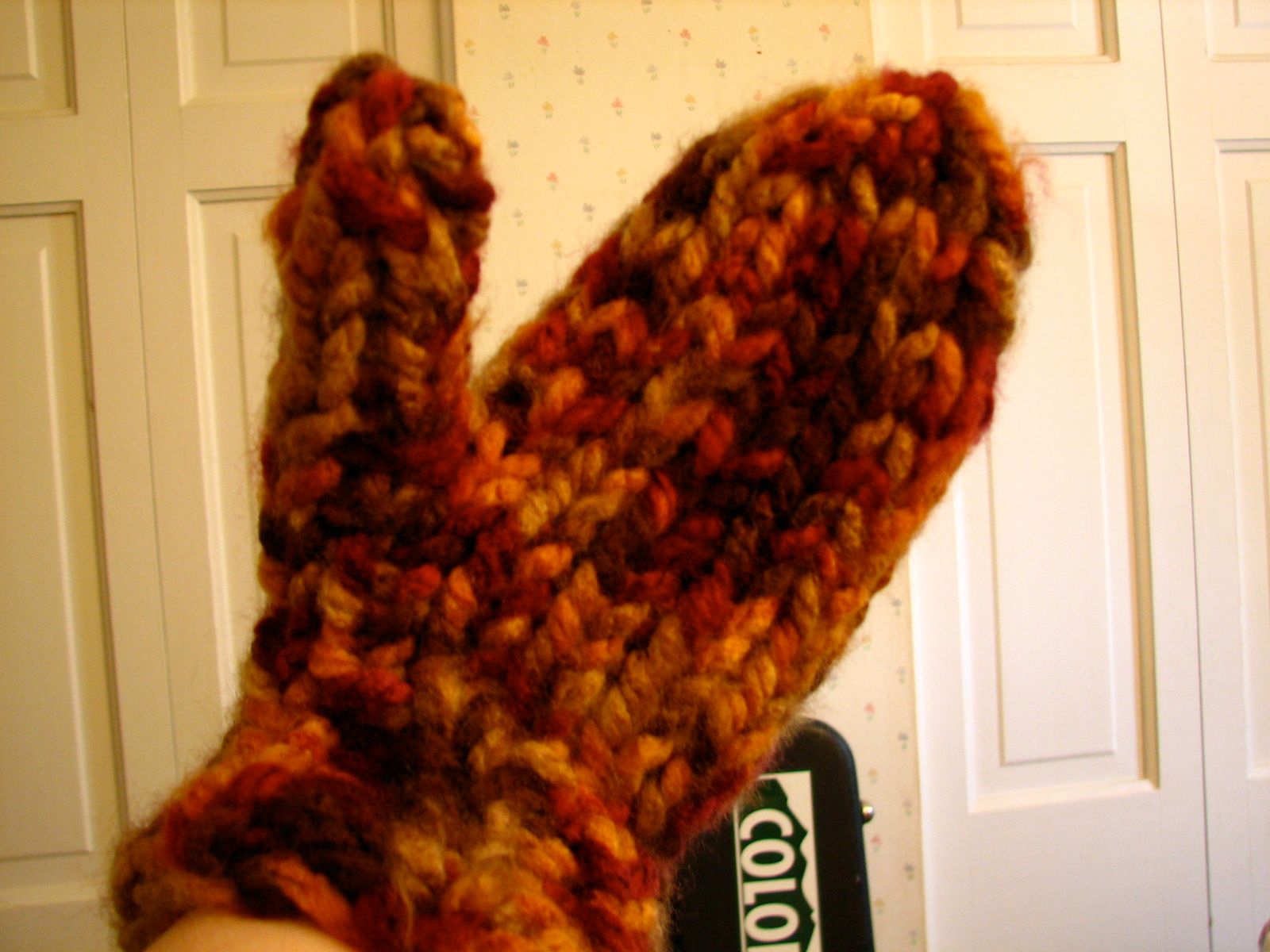 Thick & Quick Knit Mittens