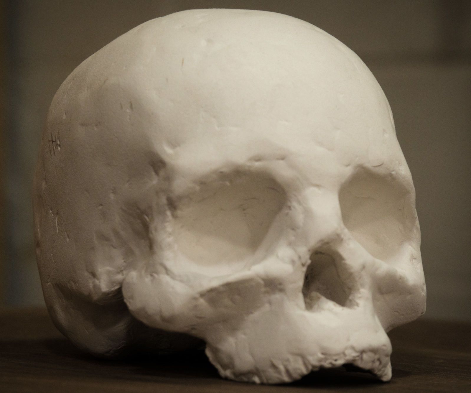 Laser Cutting Cardboard to Make a Human Skull