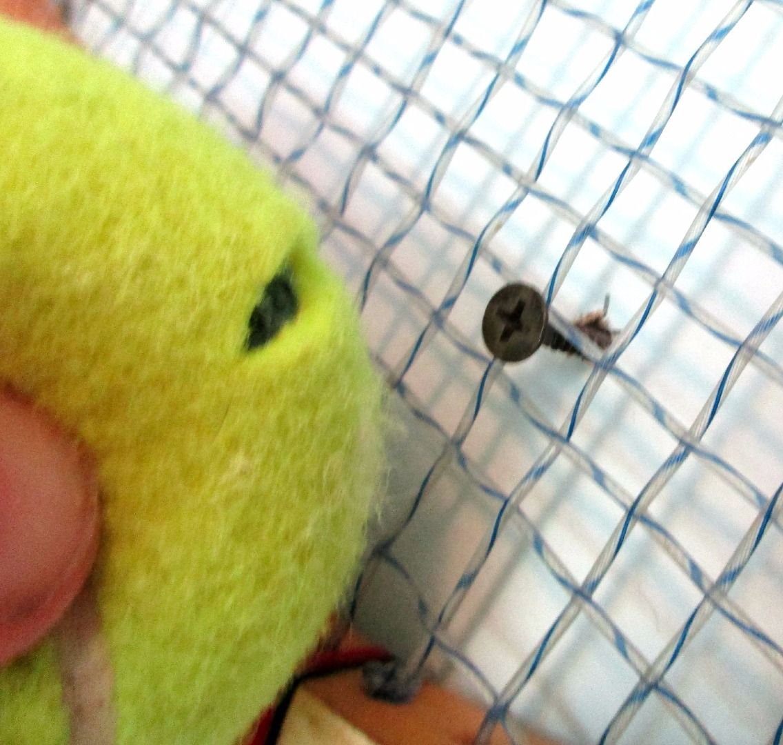 Mounting a Tennis Racquet : 4 Steps (with Pictures) - Instructables