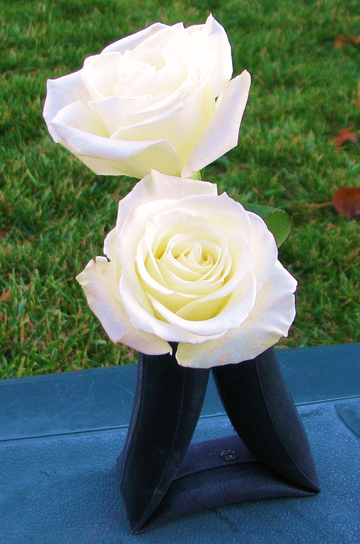 Inner Tube Flower Planter