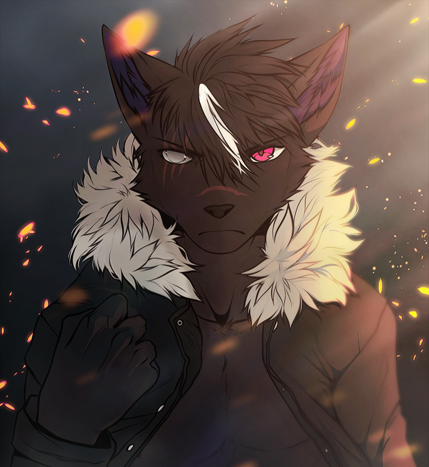 author