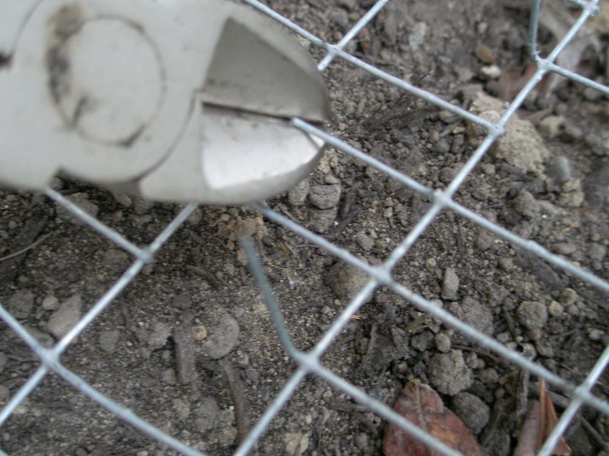 AntiCat Poop Garden Instructables