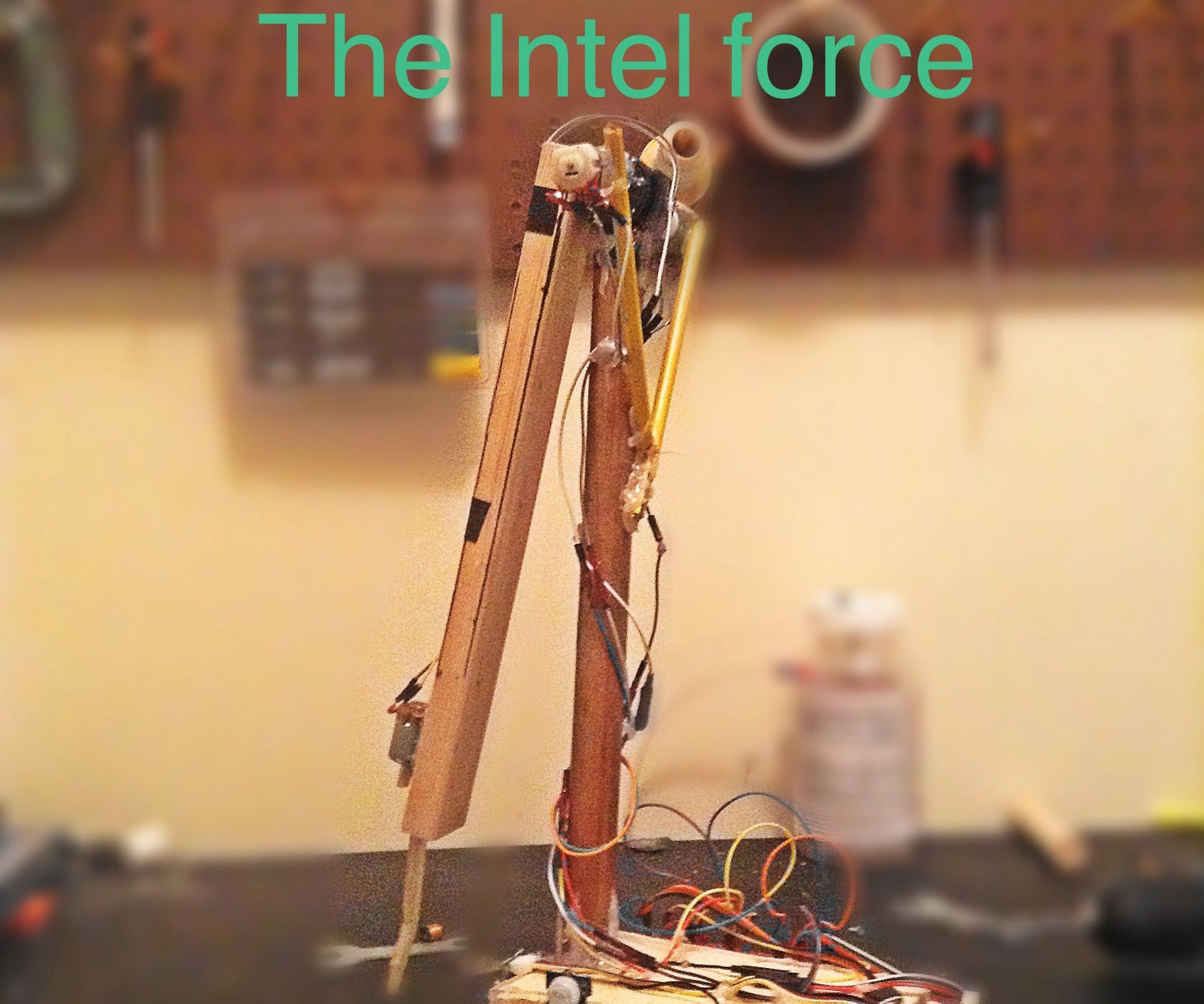 The INTEL FORCE