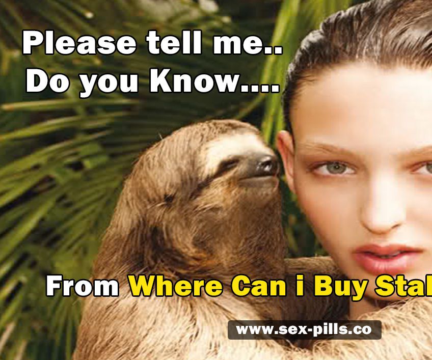 Where Can I Buy Stallion Xl