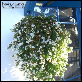 Use Some Hanging Baskets for Your Flowering Plants As Decoration in Your Patio
