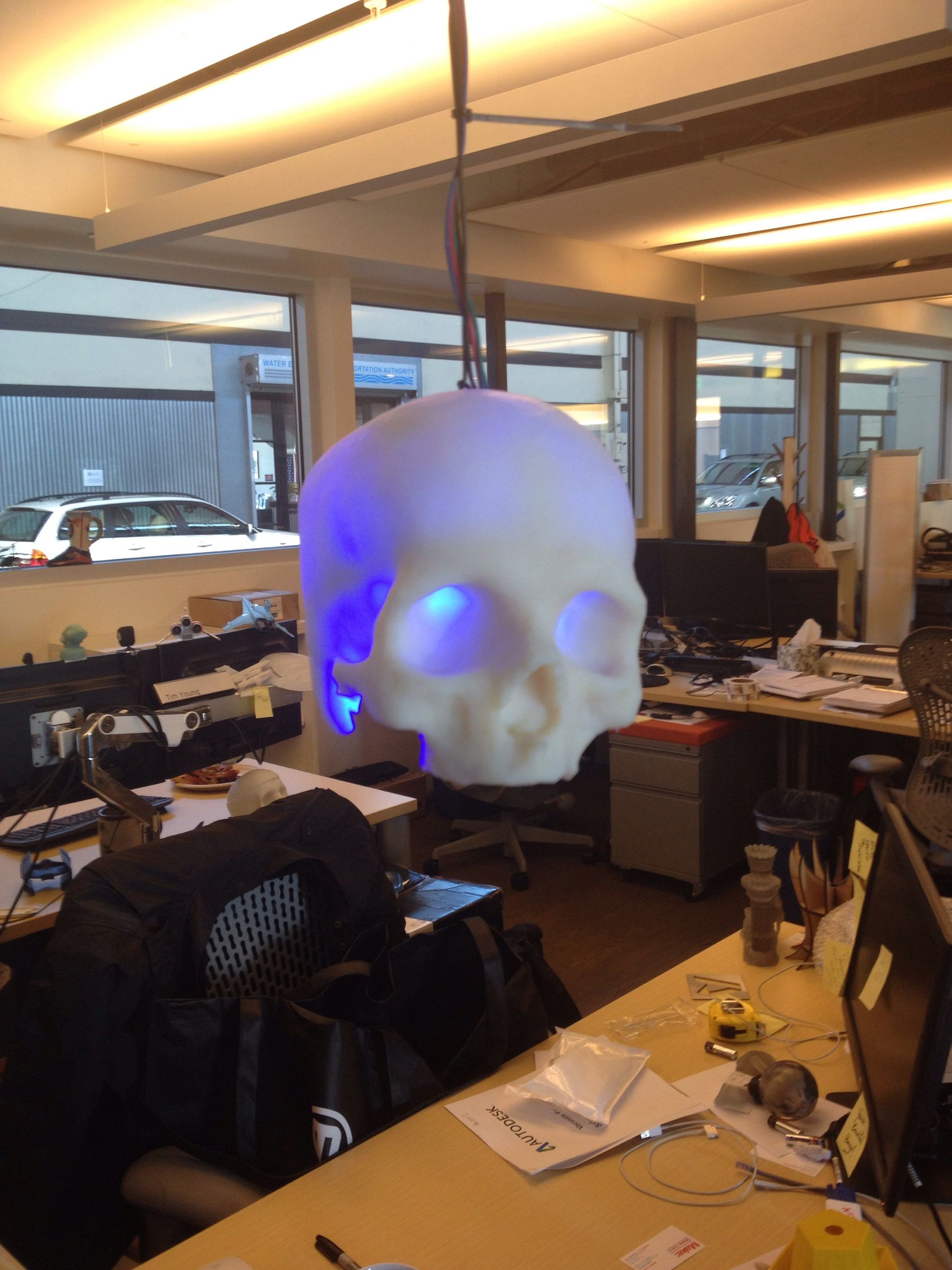 SKULLpilepsy!!!  3D Printed LED Lamp.