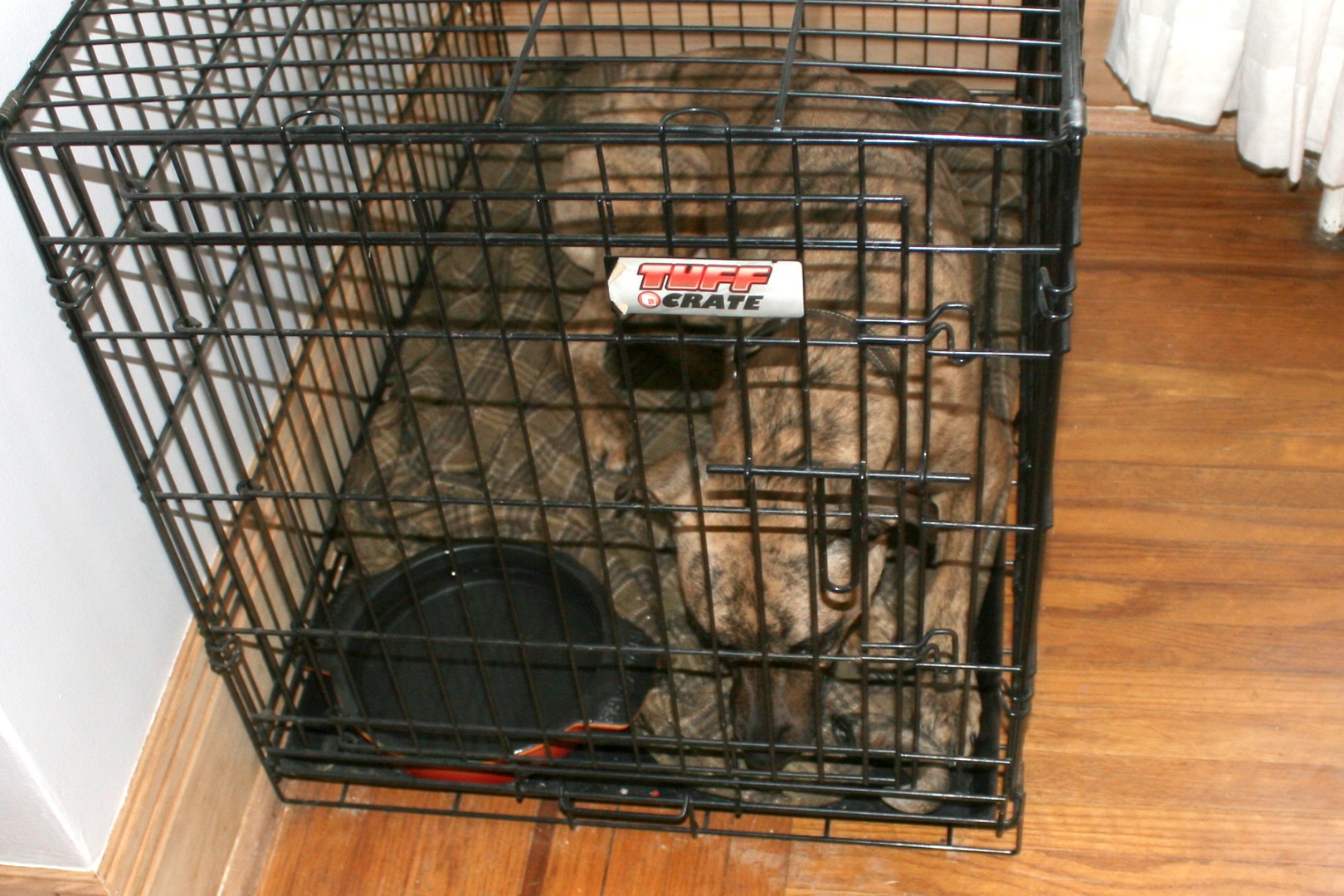 How to Crate Train Your Dog 9 Steps (with Pictures) Instructables