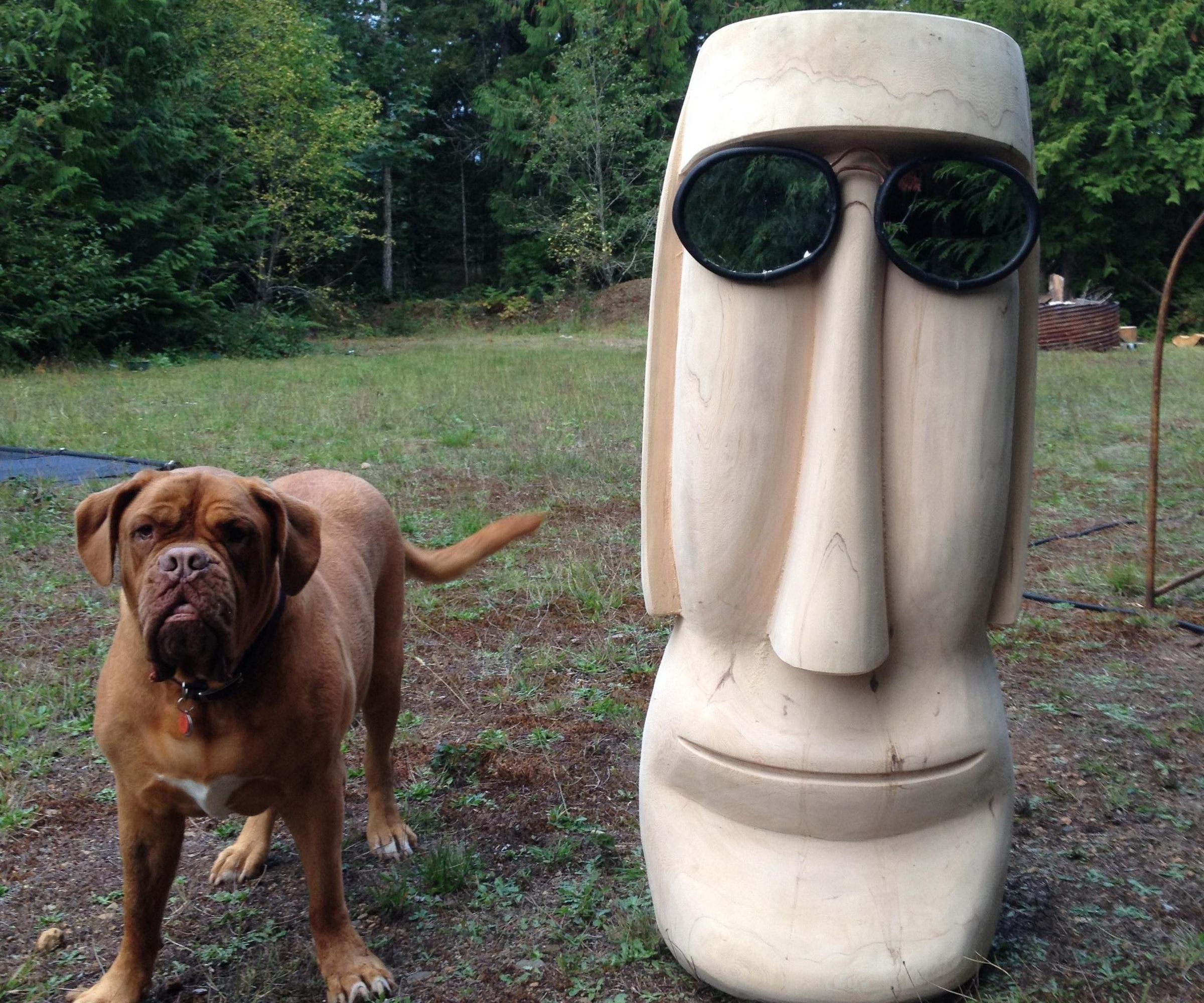 Fire Wood - WOOF !! I Don't Think So