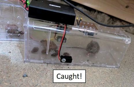 Build a Humane Mousetrap That Emails You When It's Triggered