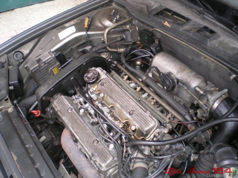 Esmagamus Guide: Diagnostics and Fixes for Idle Issues