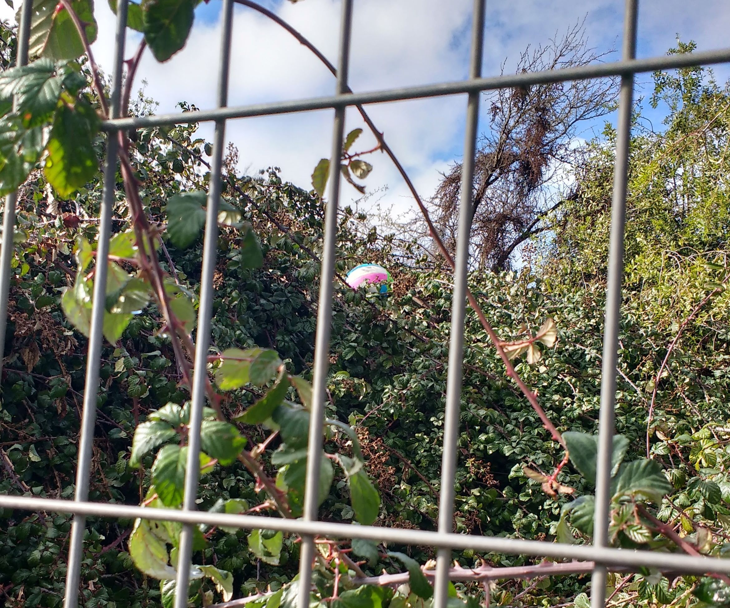 Ball Retriever/ Claw