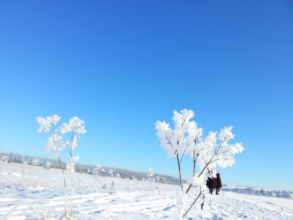 beaskywalk