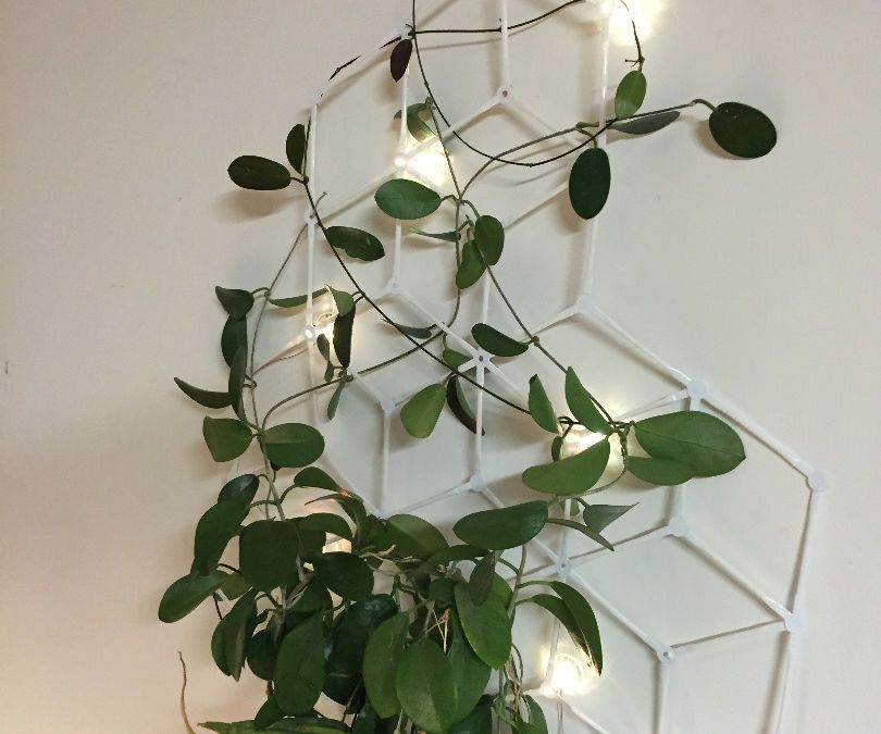 Strawbee Mood Light Trellis