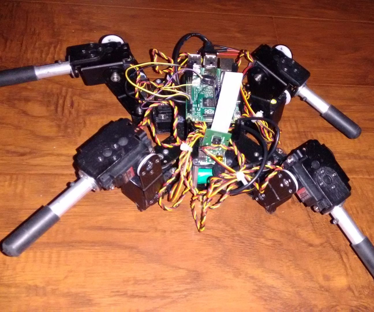 Quadruped With Camera 