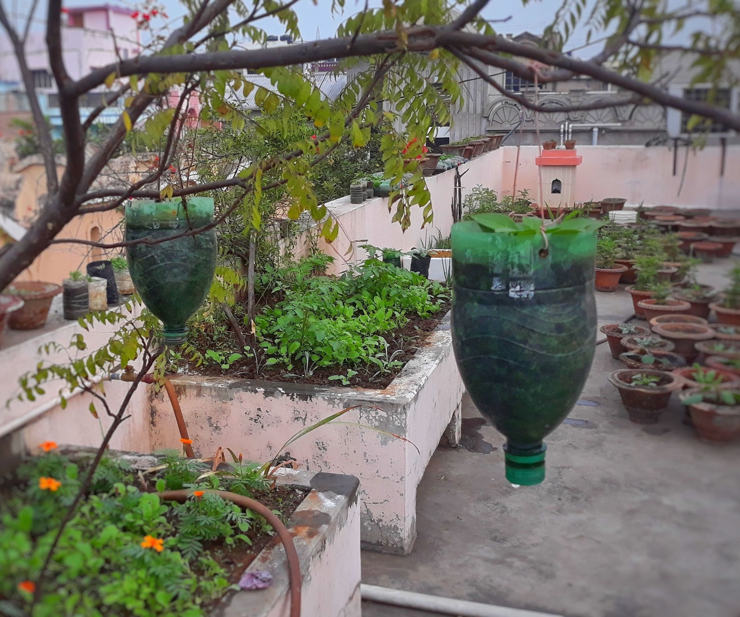 Recycled Bottle Pots