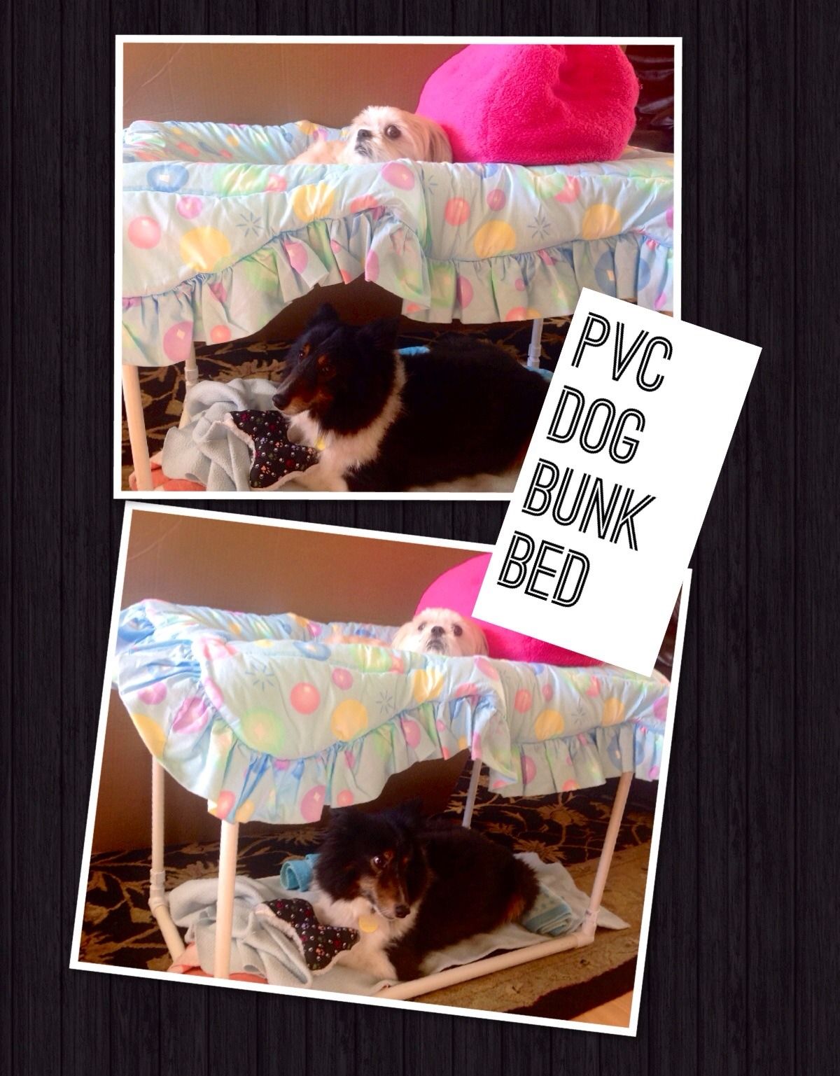 PVC Dog Bunk Bed