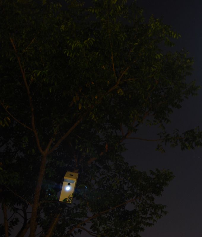 Solar Light Bird House