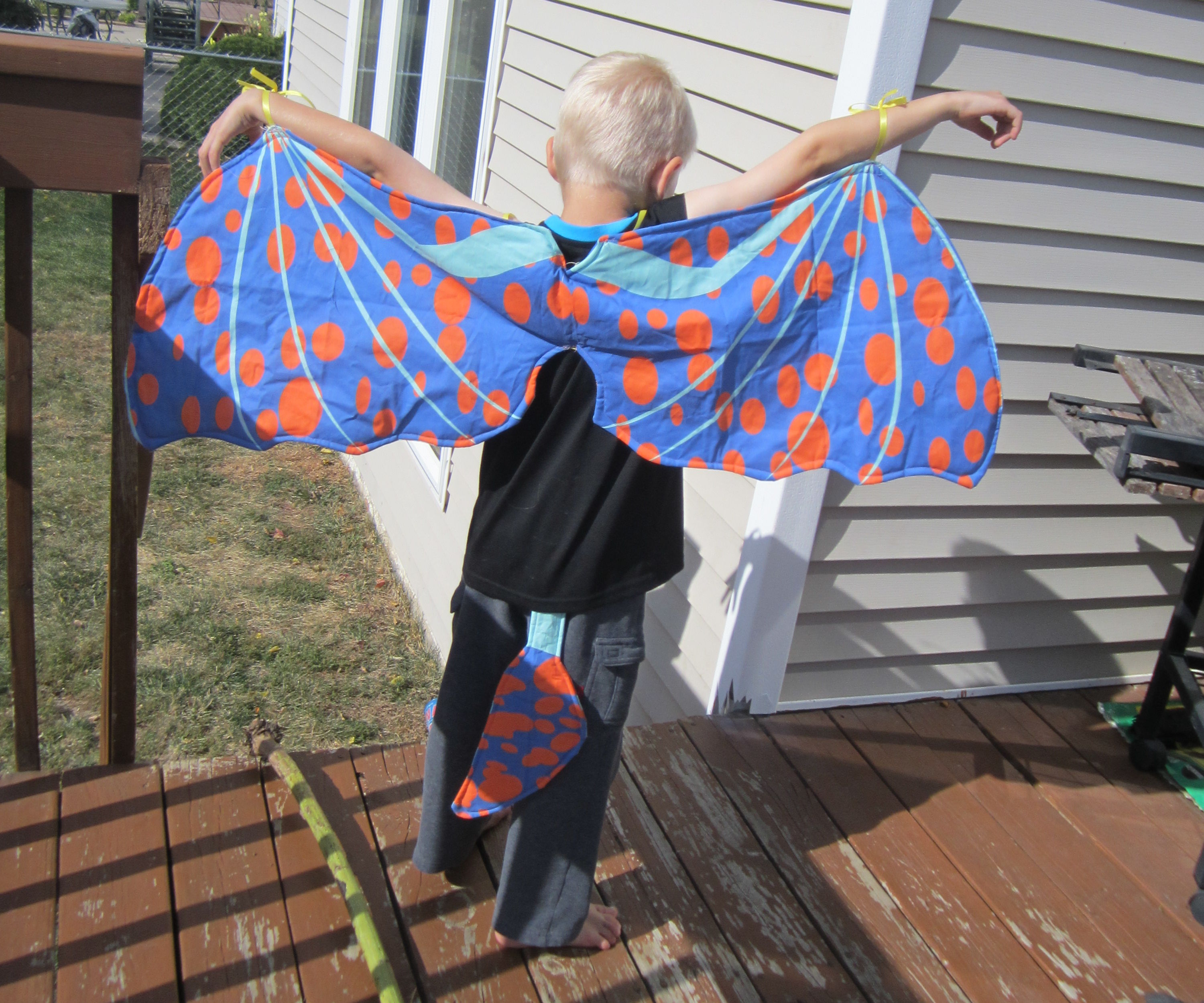 Dragon Wings Halloween Costume