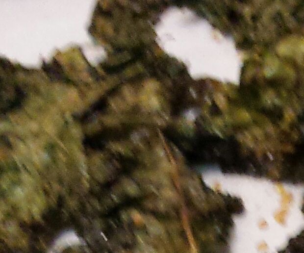 Home-made Kale Chips