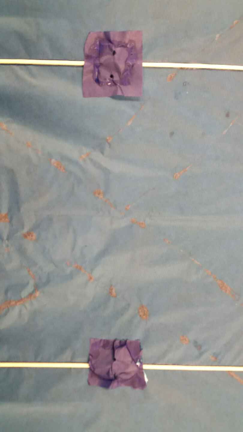 Step 8: Creating the Bridal