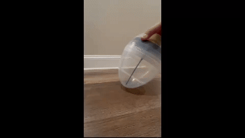 Test It Out and Enjoy!