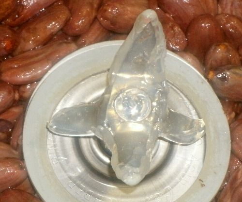 Blender Modification Cleans Seeds