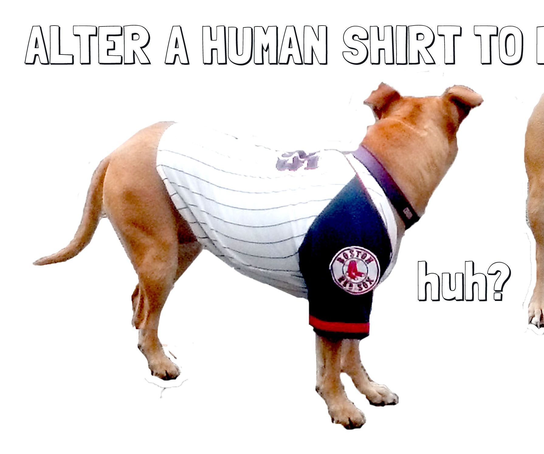 Alter Human Shirts to Fit a Dog's Body Instructables