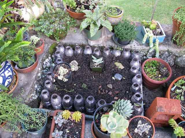 Plastic Bottle Planter Box