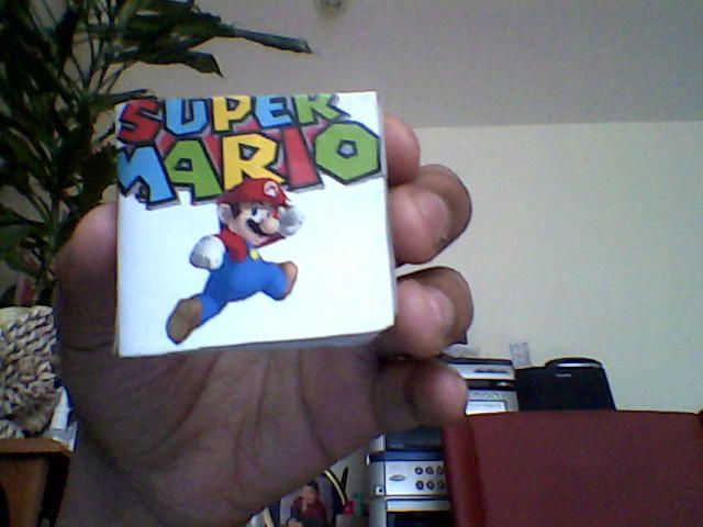 POCKET SIZED DS GAME HOLDER