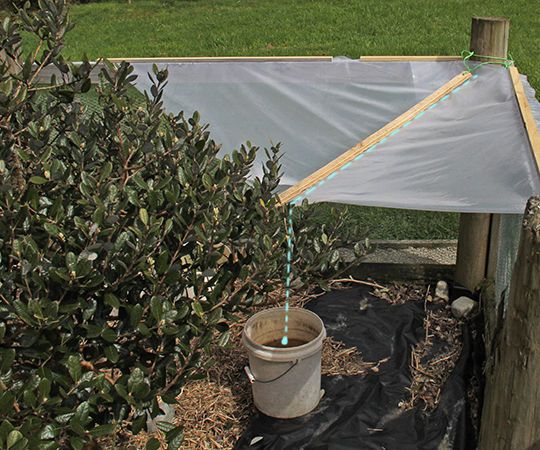 Corner Garden Rain Catcher