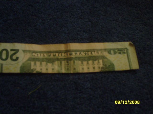 First Fold