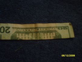First Fold