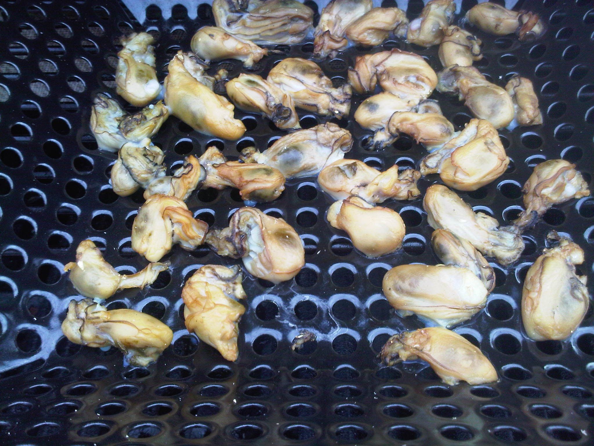 How to Smoke Oysters at Home